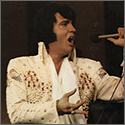 Elvis Presley "Souvenir Folio Concert Edition - Volume Seven" Program