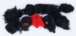 Janet/La Toya Jackson Collection of Stage and Personal Worn Wigs