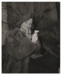Marlene Dietrich Original Hans Knopf Stamped Photographs
