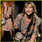 Lot Detail - Taylor Swift 2012 Grammy Awards Stage Worn Vintage Dress