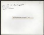 John Lennon  Original Gloria Stavers Photograph
