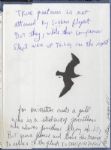 Michael Jacksons Personal Hand Annotated "Jonathan Living Seagull" Book