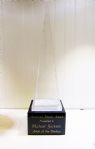 Michael Jackson Artist Of The Century American Music Award