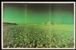 Pink Floyd Original Great Pyramids of Giza Dark Side Of The Moon Insert Poster