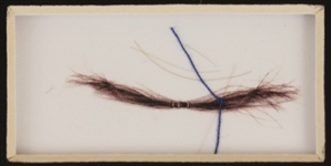 John Lennon Original Strands of Hair