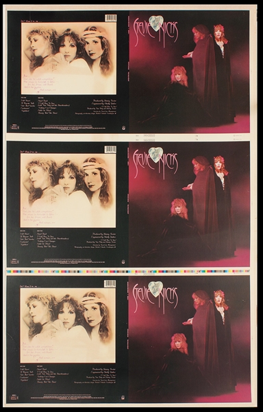 stevie nicks singing wild heart backstage stevie nicks singing wild heart backstage