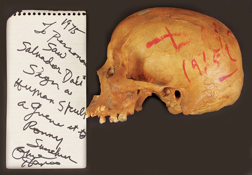 Salvador Dali Signed Human Skull with Richie Havens Signed Letter 