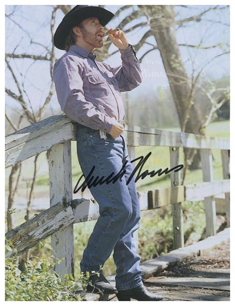Chuck Norris 1995