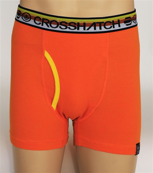 Ed Sheeran Worn Crosshatch Boxer Shorts