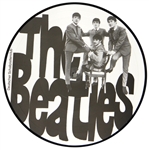 Beatles Original Picture Discs (2)