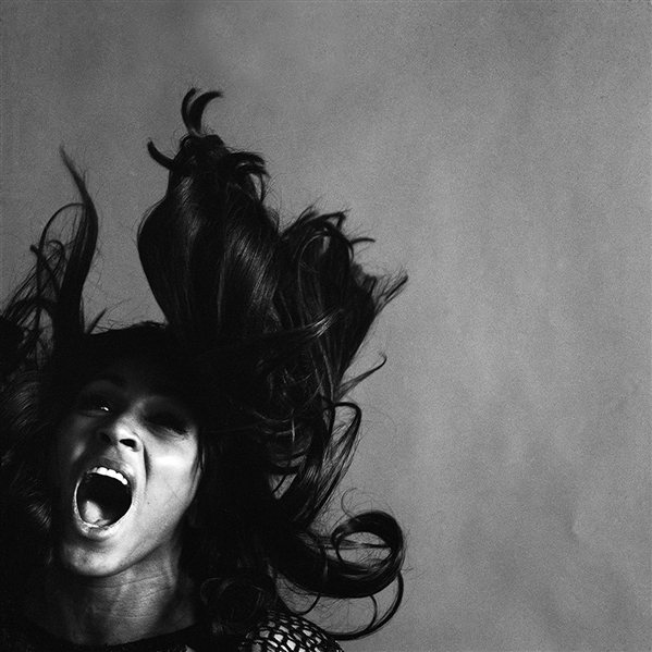 Tina Turner Original 20 x 20 Digitally Mastered Print Photograph