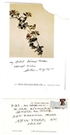 Andrew Wyeth Autograph Items PSA