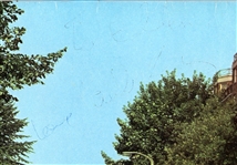 The Beatles Fully Signed Abbey Road Album (Caiazzo) with Photo Proof