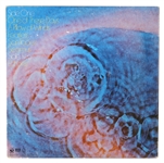 Pink Floyd Band Signed “Meddle” Album (JSA & Floyd Authentic)