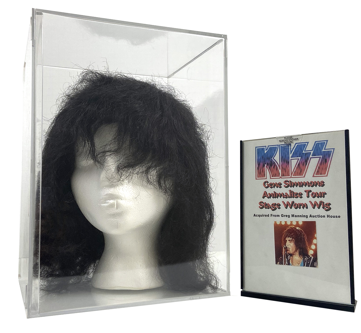 Lot Detail - KISS Gene Simmons Stage Worn Wig from the Animalize Concert  Tour 1984 - 1985 -- purchased 2001 Official Kiss Auction