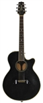 Bruce Springsteen "Born in the USA" Owned & Stage Played Takamine (Photo Matched)