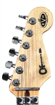 Eddie Van Halen Played & Signed 2004 Charvel Guitar Controversial Political Guitar