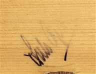 Johnny Cash, John Prine & Arlo Guthrie Signed and Played Acoustic Guitar (REAL)