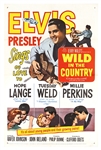 Elvis Presley "Wild in the Country" Vintage Original Silver Foil Movie Poster