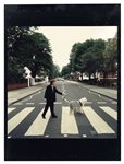 Paul McCartney ‘Paul Is Live’ Iain Macmillan Owned Photographic Prints