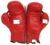 Muhammad Ali & Rick Mandris Signed & Inscribed Everlast Boxing Gloves