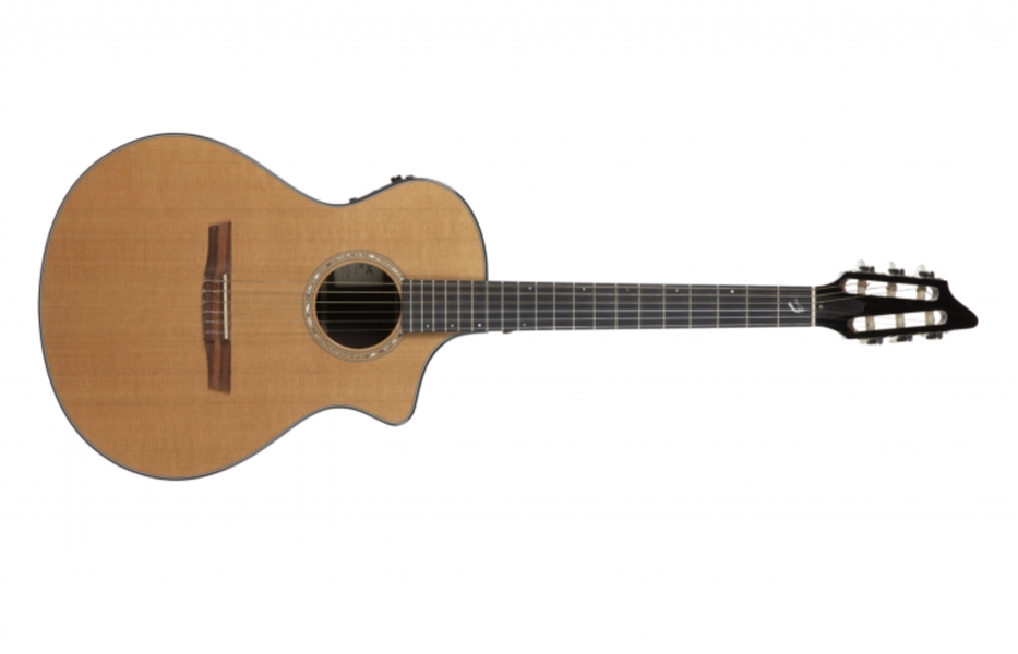 Madonna Custom Stage Played Acoustic Guitar (Photo-Matched)