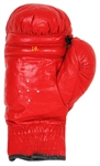 Heavyweight Hall of Fame Boxers Signed Everlast Glove with Muhammad Ali (JSA)