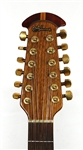 Joe Walsh Played 1986 Ovation Adamas Guitar