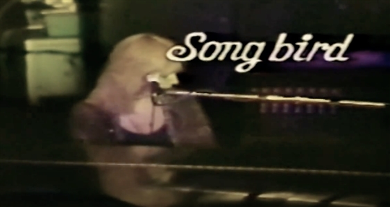 Stevie Nicks Owned & Played Baby Grand Hamilton Piano, Used to Compose “Sara”, “Songbird” & More - Also Used by Freddie Mercury, Elton John, Christine McVie & More (Stevie Nicks & Christine McVie LOA)