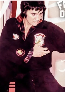 Elvis Presley Owned & Worn Kenpo Karate GI Patch (Elvis Presley Museum Provenance)