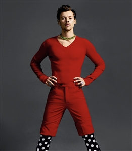 Harry Styles 2021 Winter “Dazed Magazine Photoshoot Worn Red Ernest Baker Pants