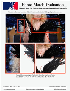BLACKPINK LISA “Born Again Music Video & Photoshoot Worn Custom Feather Couture Outfit - Also Worn by Chappell Roan For “Jimmy Fallon Appearance (SIA Photo-Matched & RGU Photo-Matched)