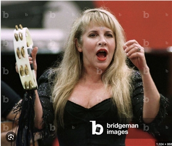 Stevie Nicks Stage Used and Signed White Tambourine with Ribbons (REAL)