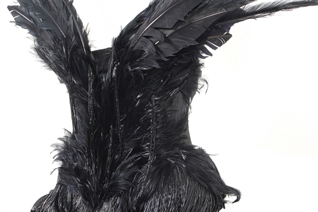 BLACKPINK LISA “Born Again Music Video & Photoshoot Worn Custom Feather Couture Outfit - Also Worn by Chappell Roan For “Jimmy Fallon Appearance (SIA Photo-Matched & RGU Photo-Matched)