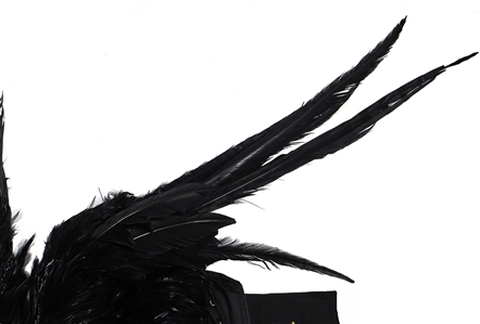 BLACKPINK LISA “Born Again Music Video & Photoshoot Worn Custom Feather Couture Outfit - Also Worn by Chappell Roan For “Jimmy Fallon Appearance (SIA Photo-Matched & RGU Photo-Matched)